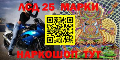 МДПВ Кингисепп