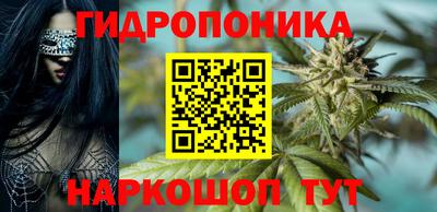 МДПВ Кингисепп