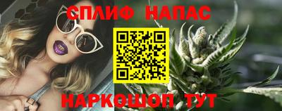 МДПВ Кингисепп