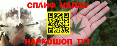 МДПВ Кингисепп