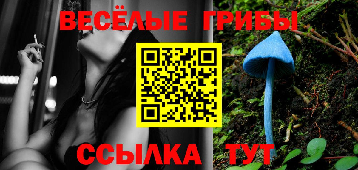 Галлюциногенные грибы Psilocybe Курчалой