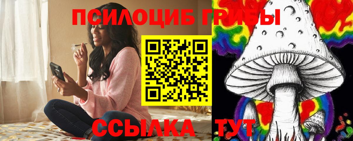 Псилоцибиновые грибы мицелий  Вход с VPN  Курчалой 